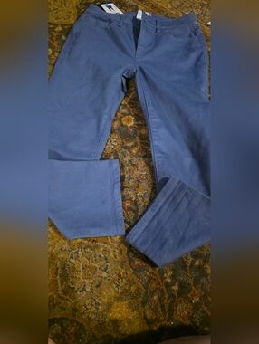 4/$25 Deal! Casual Slim Capri Pants in Periwinkle Blue NwT